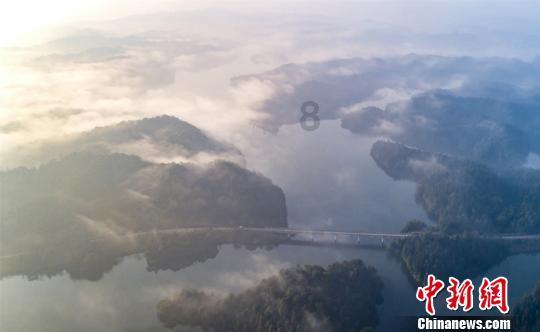 靠南方“小金豆”火了，完达山的漫漫营销路